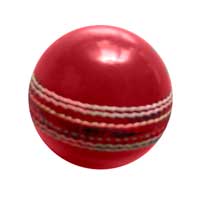 Leather Cricket Ball (03)