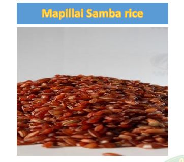 Organic Mappillai Samba Rice