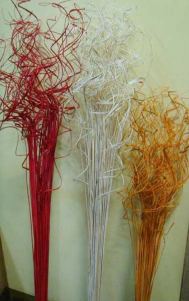 Decorative Dried Branches
