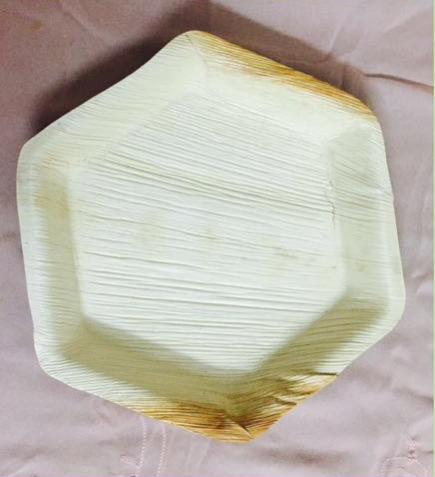Areca Leaf Plate 02