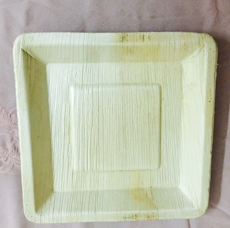 Areca Leaf Plate 06