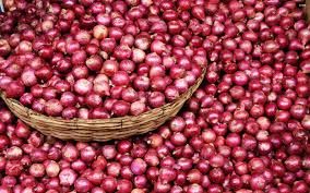 Fresh Red Onion 04