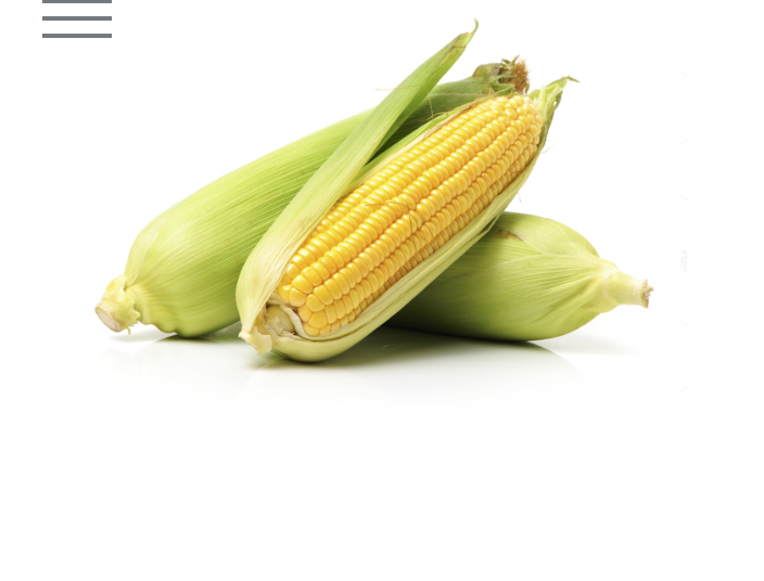 Yellow Corn 01