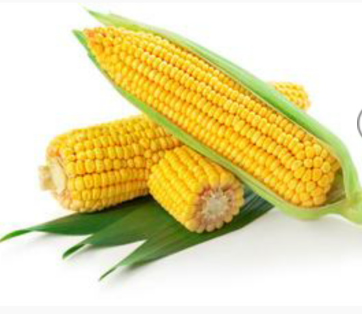 Yellow Corn 02