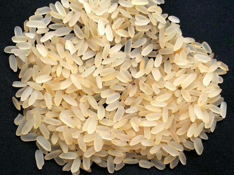 PR 47 Sella Rice