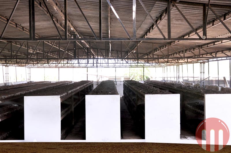 Organic Vermicompost