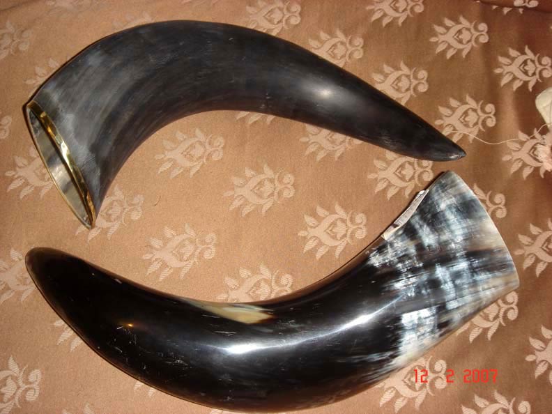 Horn and Bone Drinking Horn 01