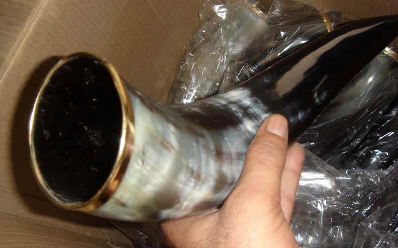 Horn and Bone Drinking Horn 02