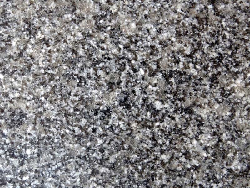 Indian Mudgal Grey