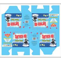 Printed Mono Carton (04)