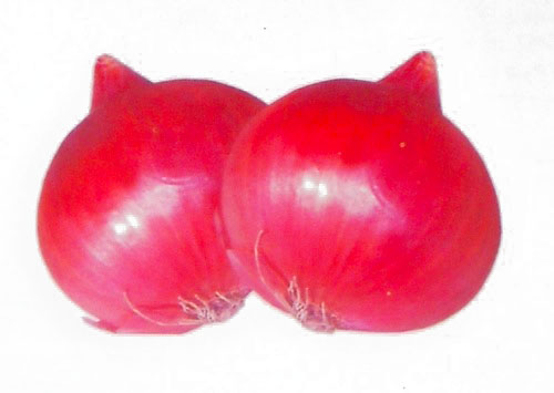 Mayur Super Onion Seeds