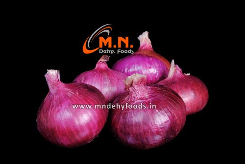 Fresh Red Onion 02