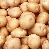 Indian Fresh Potato