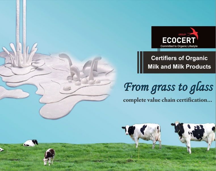 Organic Certification For Dairy Product