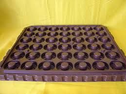 Chocolate Packaging Tray 06