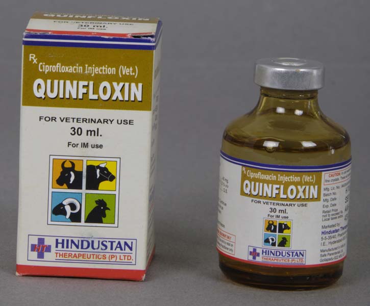Quinfloxin Injection