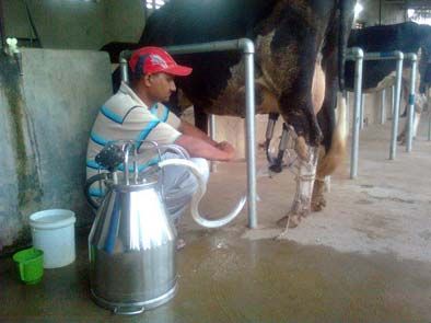 Automatic Milking Machine 01