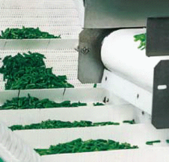Modular Plastic Conveyor Belt