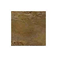 Indian Autumn Slate Stone