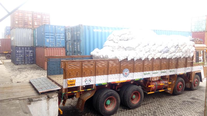 Semi Husked Coconut 06