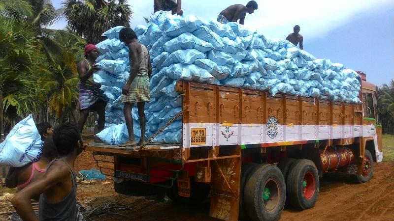 Semi Husked Coconut 10