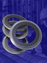 Ring Joint Gasket 02