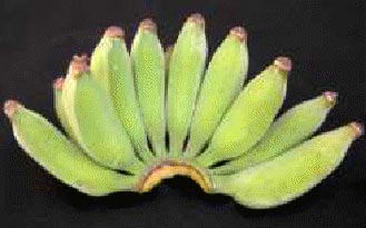 Monthan Banana