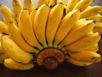 Palayankodan Banana