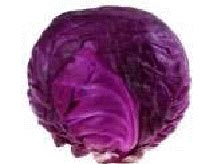 Violet Cabbage