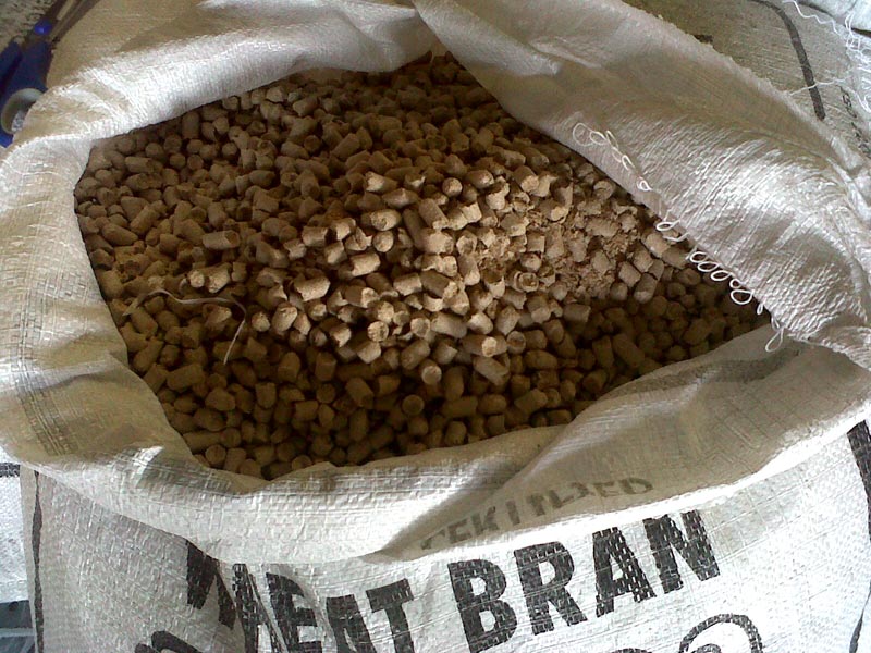 Wheat Bran Pellet,Wheat Pellet,Bran Pellets Exporters