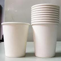 Plain Disposable Paper Cups