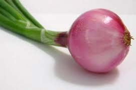 Pink Onion