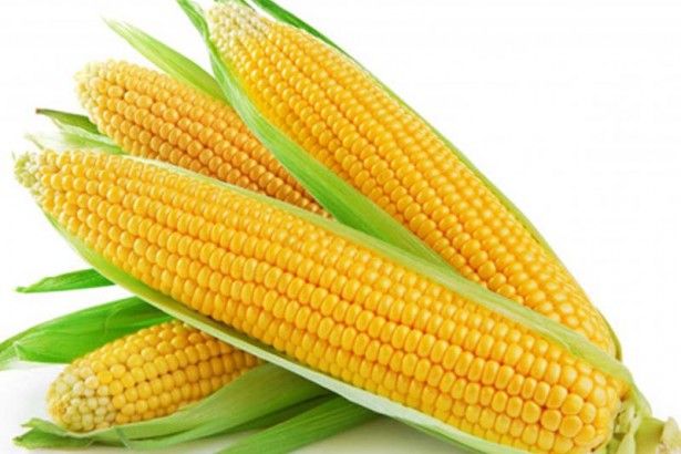 Yellow Maize 03