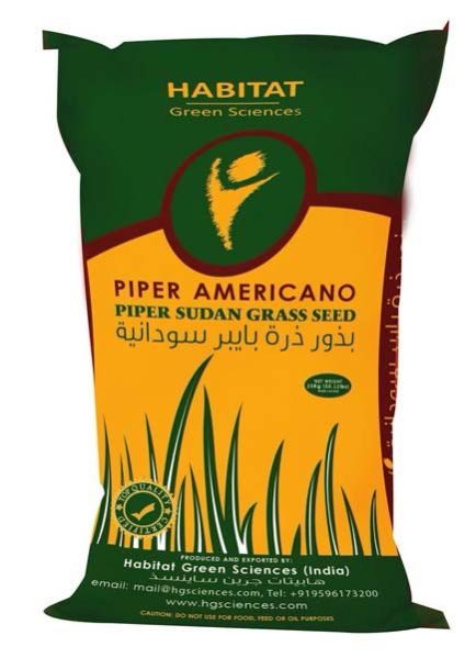 Piper Sudan Grass