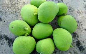 Green Mango
