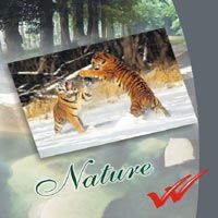 Tarang Success Notebook (190X155mm)