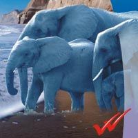 Tarang Success Notebook (240X180mm)