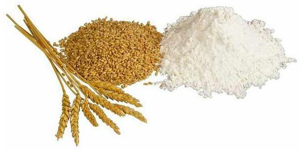 Wheat Flour
