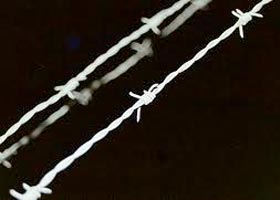 Barbed Iron Wire 01