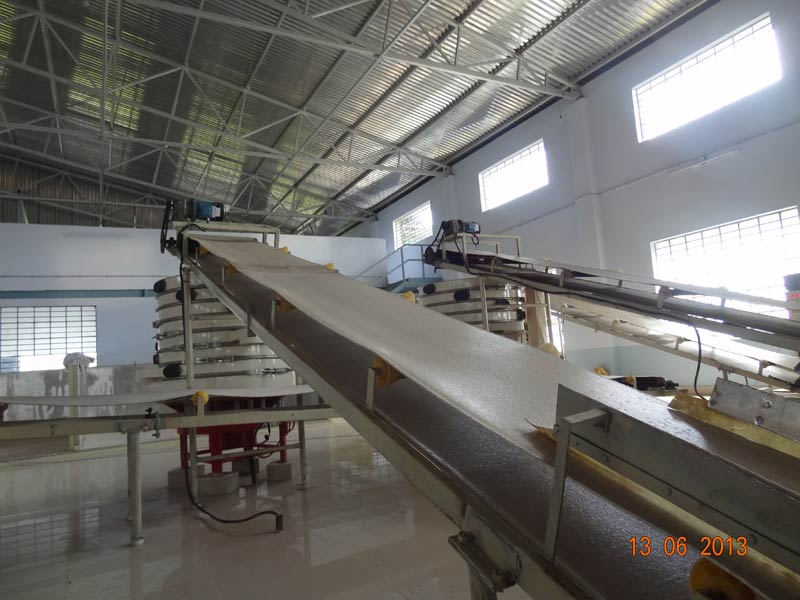 Cotton Conveyor Belt