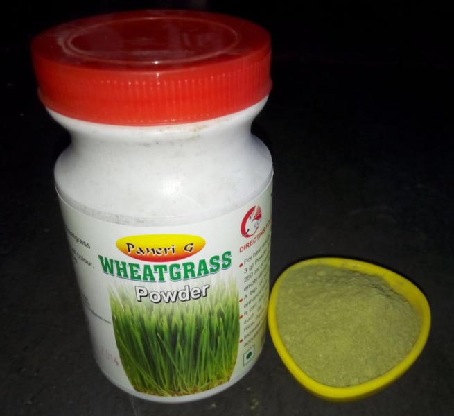 Wheatgrass Powder 01