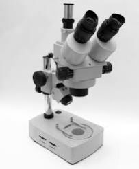 Trinocular Microscope