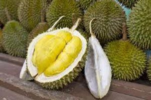 Fresh Durian 01