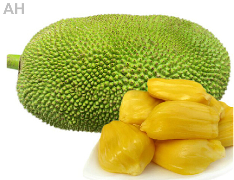 Wholesale Fresh Jackfruit Supplier,Fresh Jackfruit Exporter in