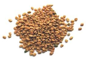 Fenugreek Seeds
