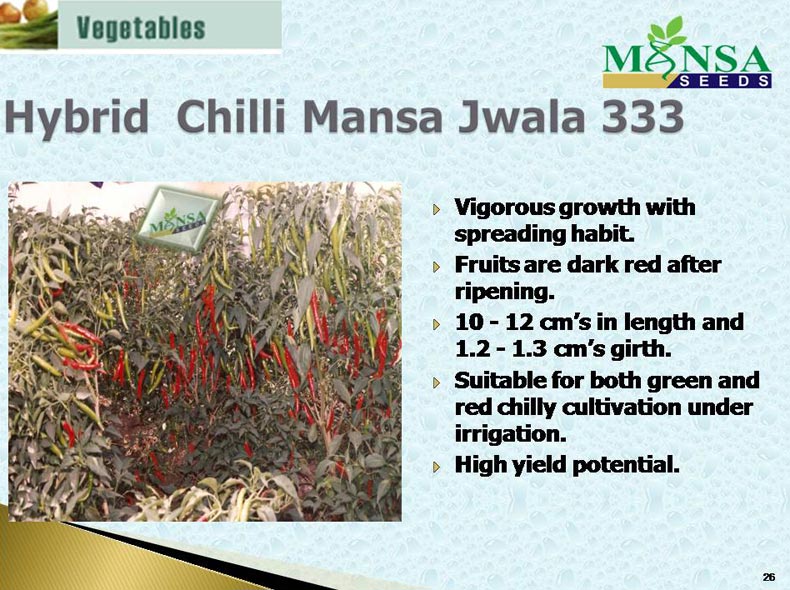 Chilli Seeds (Jwala - 333) 01