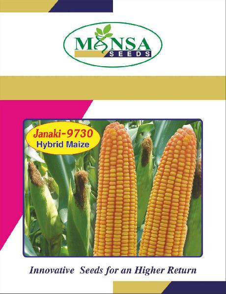 Maize Seeds (Janki-9730)