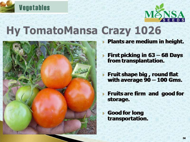 Tomato Seeds (Crazy-1026)