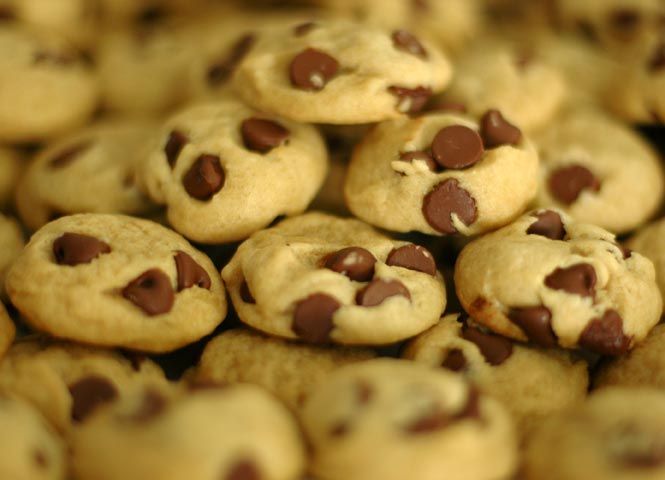 Choco Chip Biscuits