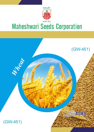 GW-451 Wheat Seeds